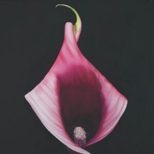 Billy by Liz Green - Oil