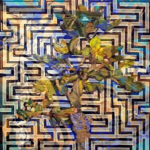 The Garden of Eden by Dora Tomulic - Acrylic