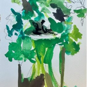 Cilantro by Marni Gelfman - Watercolor