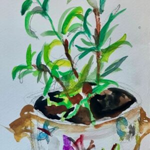 Rosemary by Marni Gelfman - Watercolor