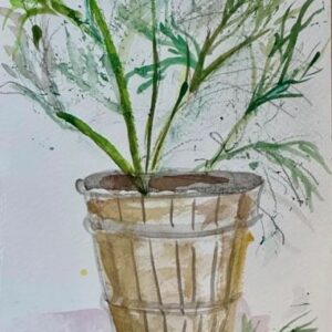 Dill by Marni Gelfman - Watercolor