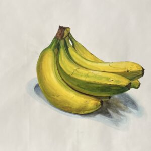 WIP: Bananas by Peter Leeds - Watercolor