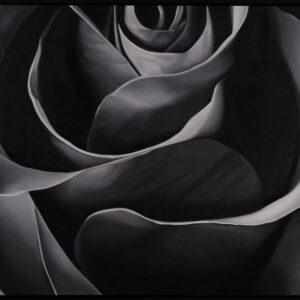 Faryn by Liz Green - Oil